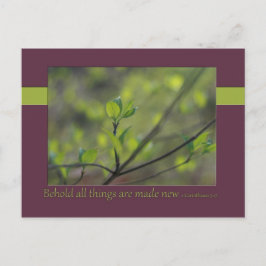 2 Korinthen 5:17 Siehe, alles ist neu gemacht Postkarte