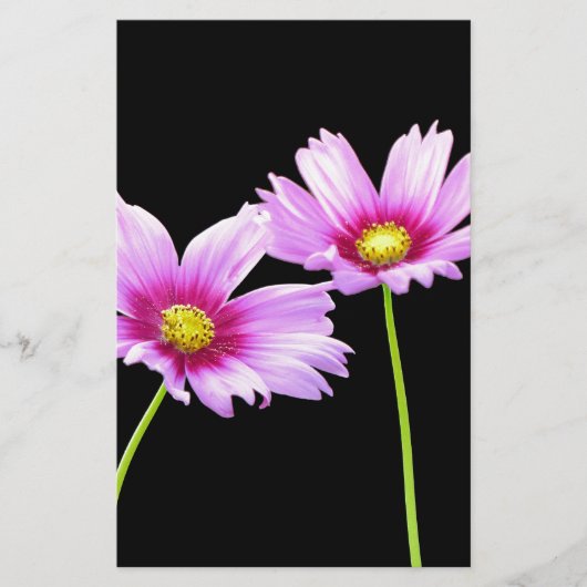 2 Kosmos Briefpapier (Vorderseite)