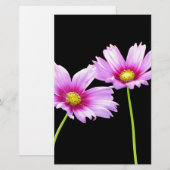 2 Kosmos Briefpapier (Vorne/Hinten)