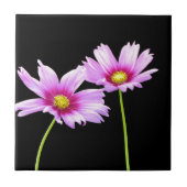 2 Kosmos Fliese (Vorderseite)