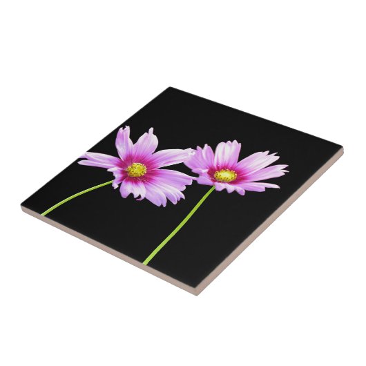 2 Kosmos Fliese (Seite)