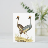 2 Krane Vögel Vintage Kunst Postkarte (Stehend Vorderseite)
