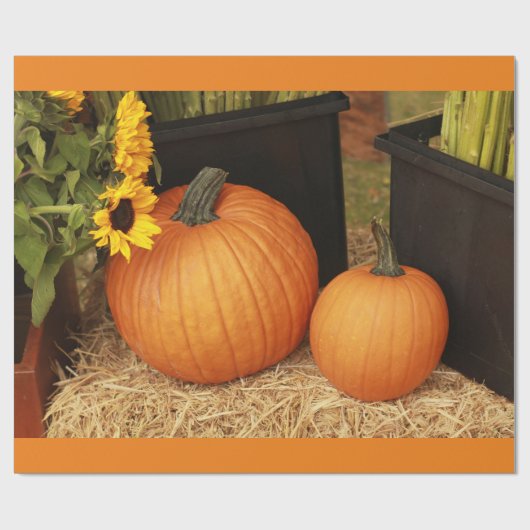 2 Kürbis Geschenkpapier (Flach)