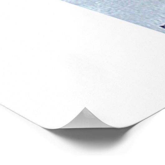 2 Libellen #1 Poster (Ecke)