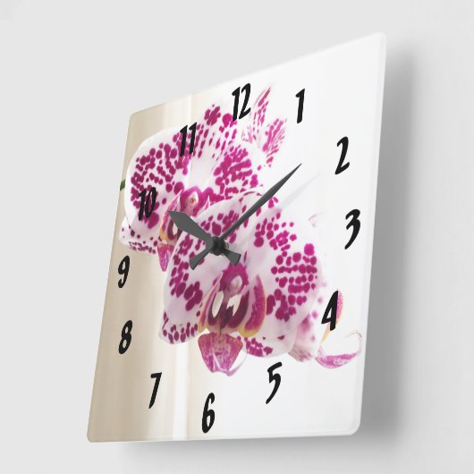 2 Lila Orchideenschreie, fertig geschüttelt Quadratische Wanduhr (Winkel)
