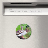 2 Mallards auf einem Zaunmagnet Magnet (In Situ (Geschirrspüler))