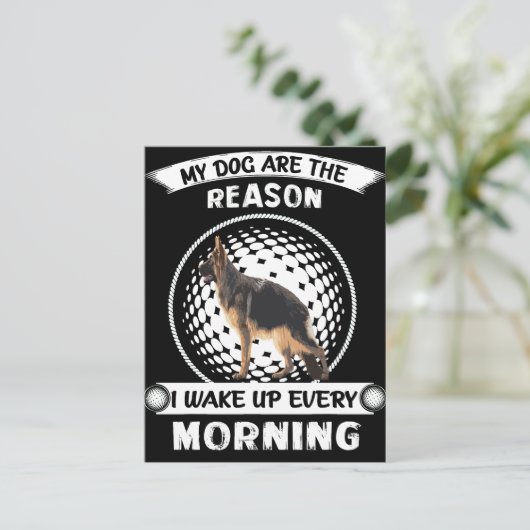 2 Meine Hunde sind der Grund, warum ich jeden Morg Postkarte (Stehend Vorderseite)