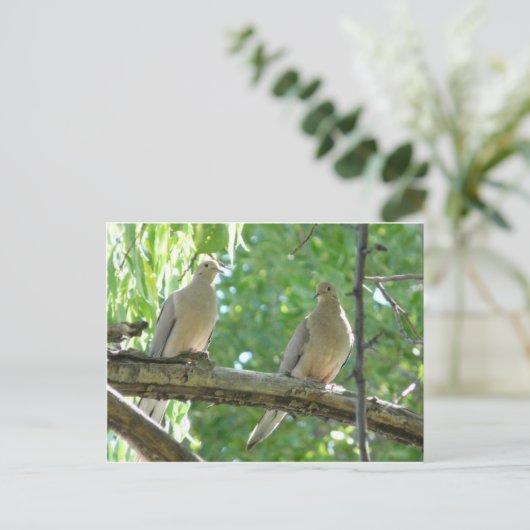 2 Morgentauben Postkarte (Stehend Vorderseite)