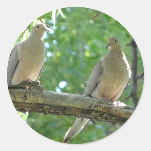 2 Morgentauben Runder Aufkleber (Vorderseite)