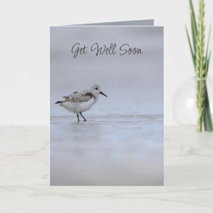 2. Mose 15:26 Ich bin der Herr, dein Arzt Bibelver Karte