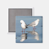 2 Möwen am Strand Magnet (Vorderseite/Rückseite)