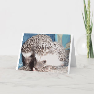 2 niedliche Igel Karte