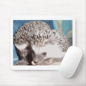 2 niedliche Igel Mousepad (Mit Mouse)