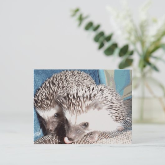 2 niedliche Igel Postkarte (Stehend Vorderseite)