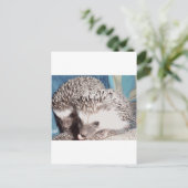 2 niedliche Igel Postkarte (Stehend Vorderseite)
