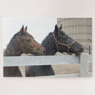 2 Niedliche Pferde Blick auf den Zaun Puzzle
