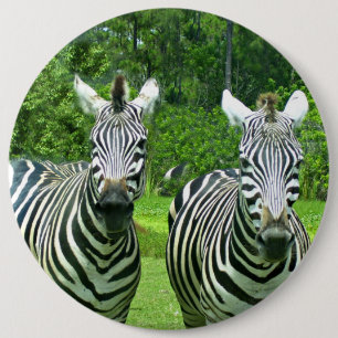 2 Niedliches Zebras Button