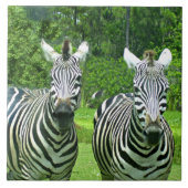 2 Niedliches Zebras Fliese (Vorderseite)
