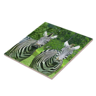 2 Niedliches Zebras Fliese