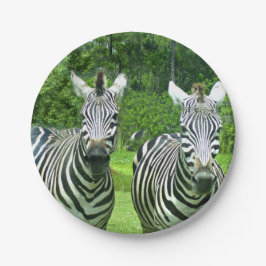2 Niedliches Zebras Pappteller