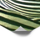 2 Niedliches Zebras Poster (Ecke)