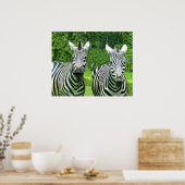 2 Niedliches Zebras Poster (Küche)