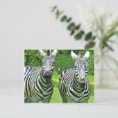 2 Niedliches Zebras Postkarte (Stehend Vorderseite)