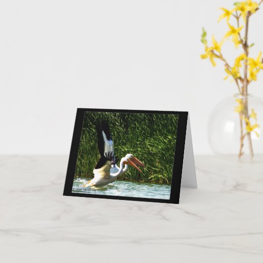 2 Pelikane Karte (Gelbe Blume)