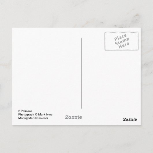 2 Pelikane Postkarte (Rückseite)