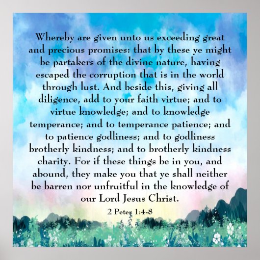 2 Peter 1:4-8 Poster (Vorne)