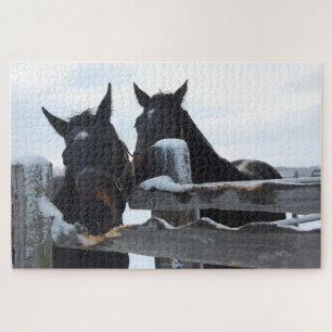 2 Pferde Kauen auf einem Zaun Puzzle