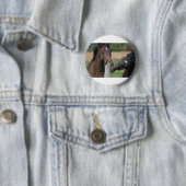 2 Pferde Kauen einer Zaun Post Button (Beispiel)