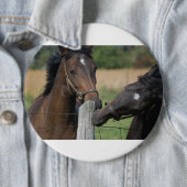 2 Pferde Kauen einer Zaun Post Button (Beispiel)