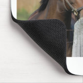 2 Pferde Kauen einer Zaun Post Mousepad (Ecke)