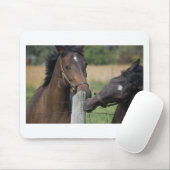2 Pferde Kauen einer Zaun Post Mousepad (Mit Mouse)