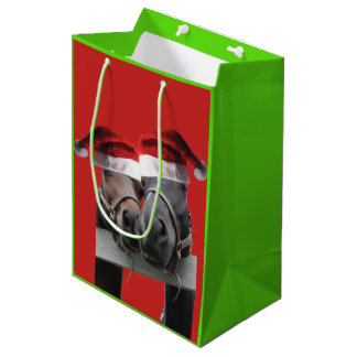 2 Pferde Küssen mit Weihnachtsmannmützen auf Mittlere Geschenktüte