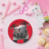 2 Pferde mit Weihnachtsmänner Pappteller (Party)