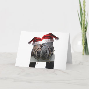 2 Pferde mit Weihnachtsmannmützen Karte