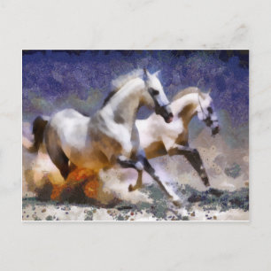 2 Pferde Strandgalopp Postkarte
