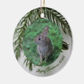 2 Photo Front & Back Evergreen Christmas Ornament (Links)