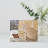 2 POSTKARTE (Stehend Vorderseite)