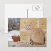 2 POSTKARTE (Vorne/Hinten)