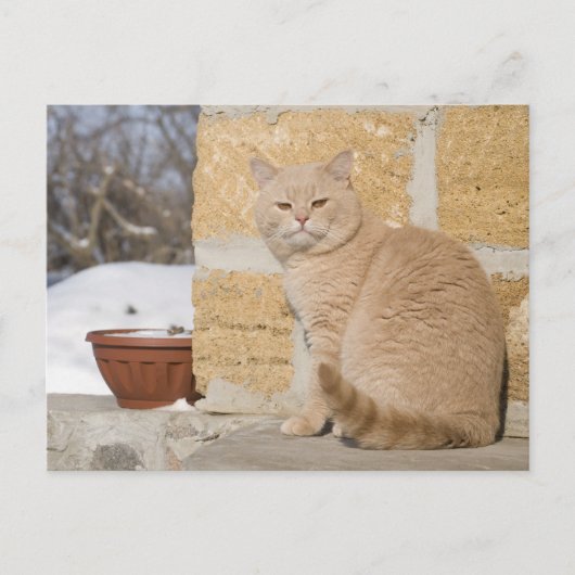 2 POSTKARTE (Vorderseite)