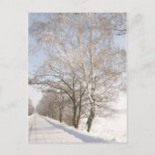 2 POSTKARTE (Vorderseite)