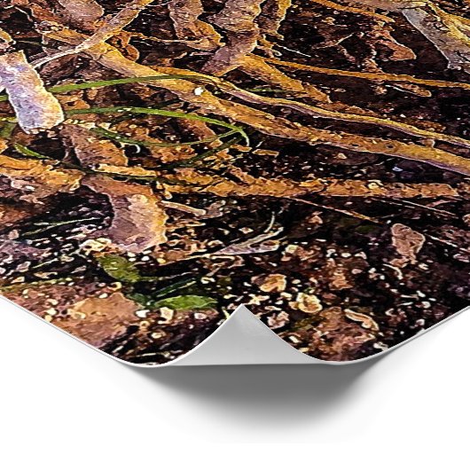 2 Print, Poster Paper (Halbglanz) (Ecke)