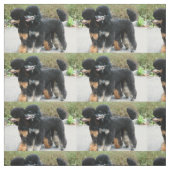 2 Pudel voll Stoff (Muster)