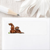 2 Rhodesian Ridgebacks (Insitu)