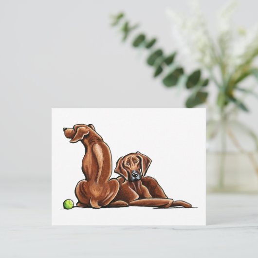 2 Rhodesian Ridgebacks Postkarte (Stehend Vorderseite)