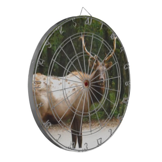 2 Rocky Mountain Elk Dartscheibe (Vorderseite Links)