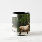 2 Rocky Mountain Elk Zweifarbige Tasse (Mittel)